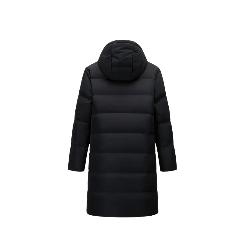 862617901-2 (2).webp